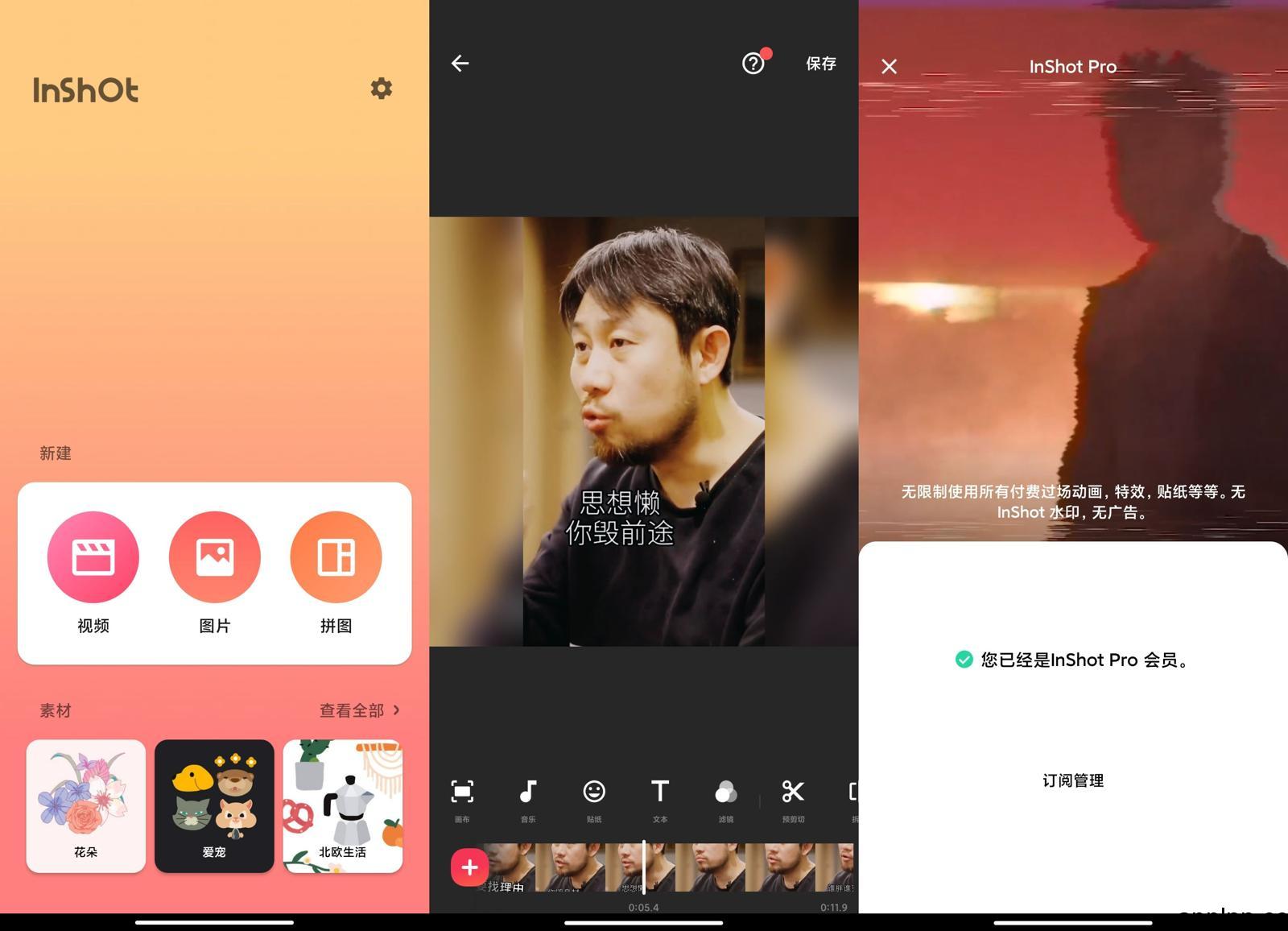 InShot视频编辑 v2.204.1534(1534) 安卓绿化版