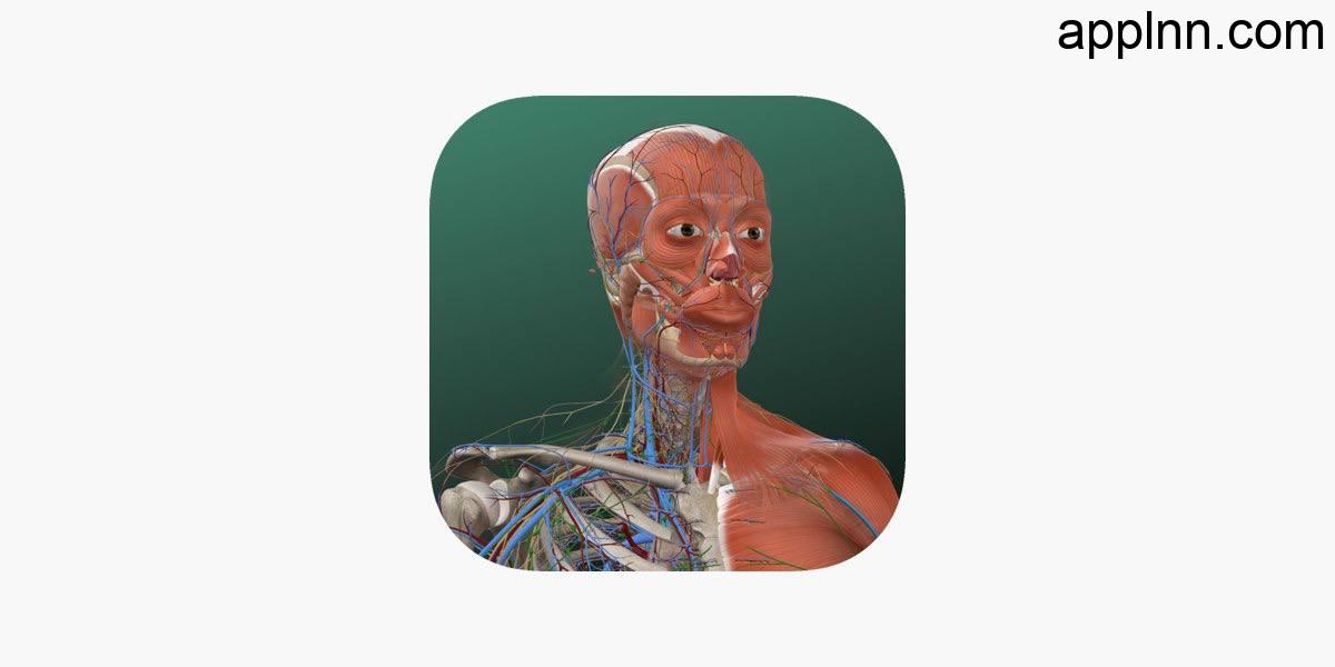 IOS圈X规则|万康人体解剖-3dbody解剖